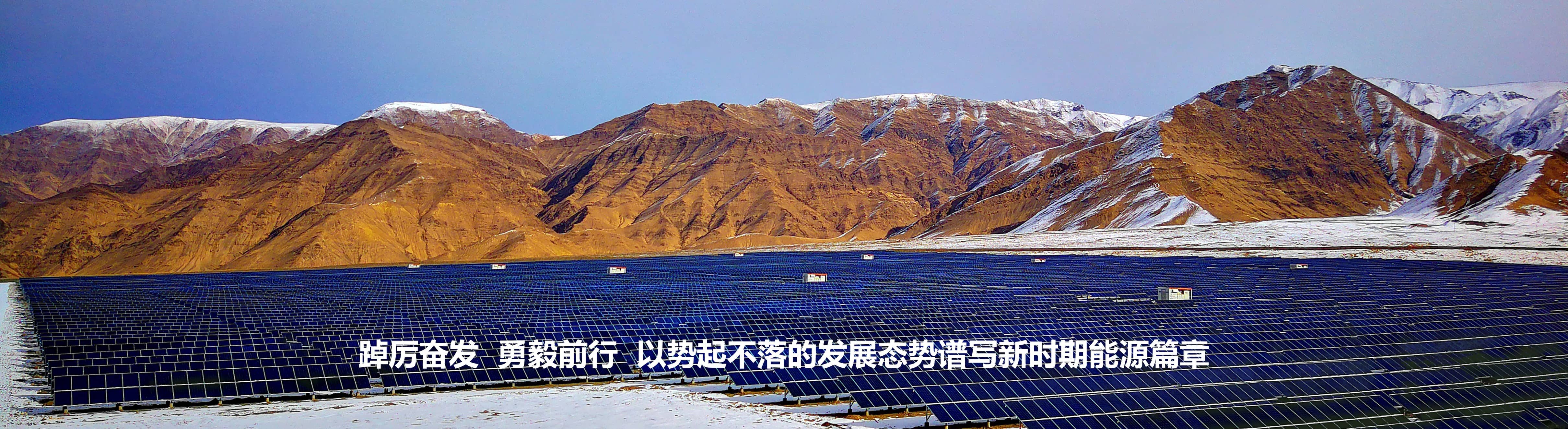 深圳能源供应商门户